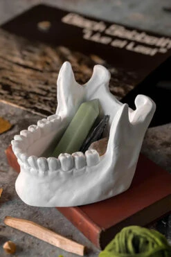 Killstar Ossuary Catch All Bowl Dish Simulated Jaw Bone